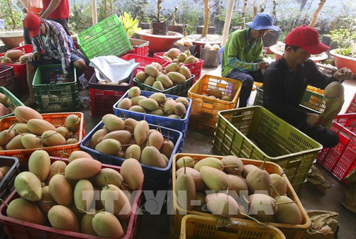 Unternehmen von Obst und Gemüse profitieren von Vorteilen aus dem Freihandelsabkommen
